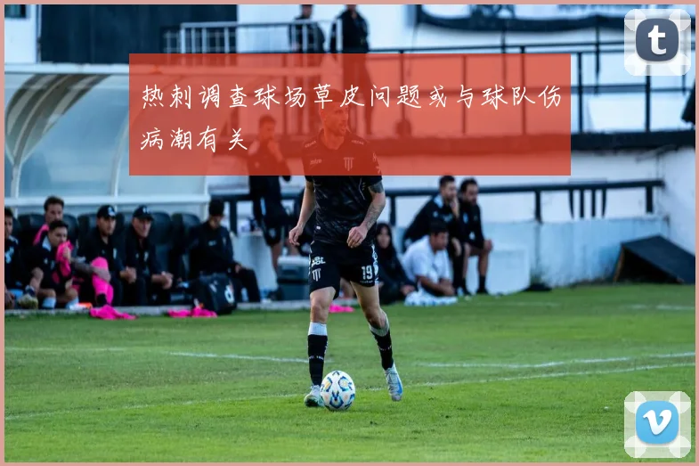 热刺调查球场草皮问题或与球队伤病潮有关